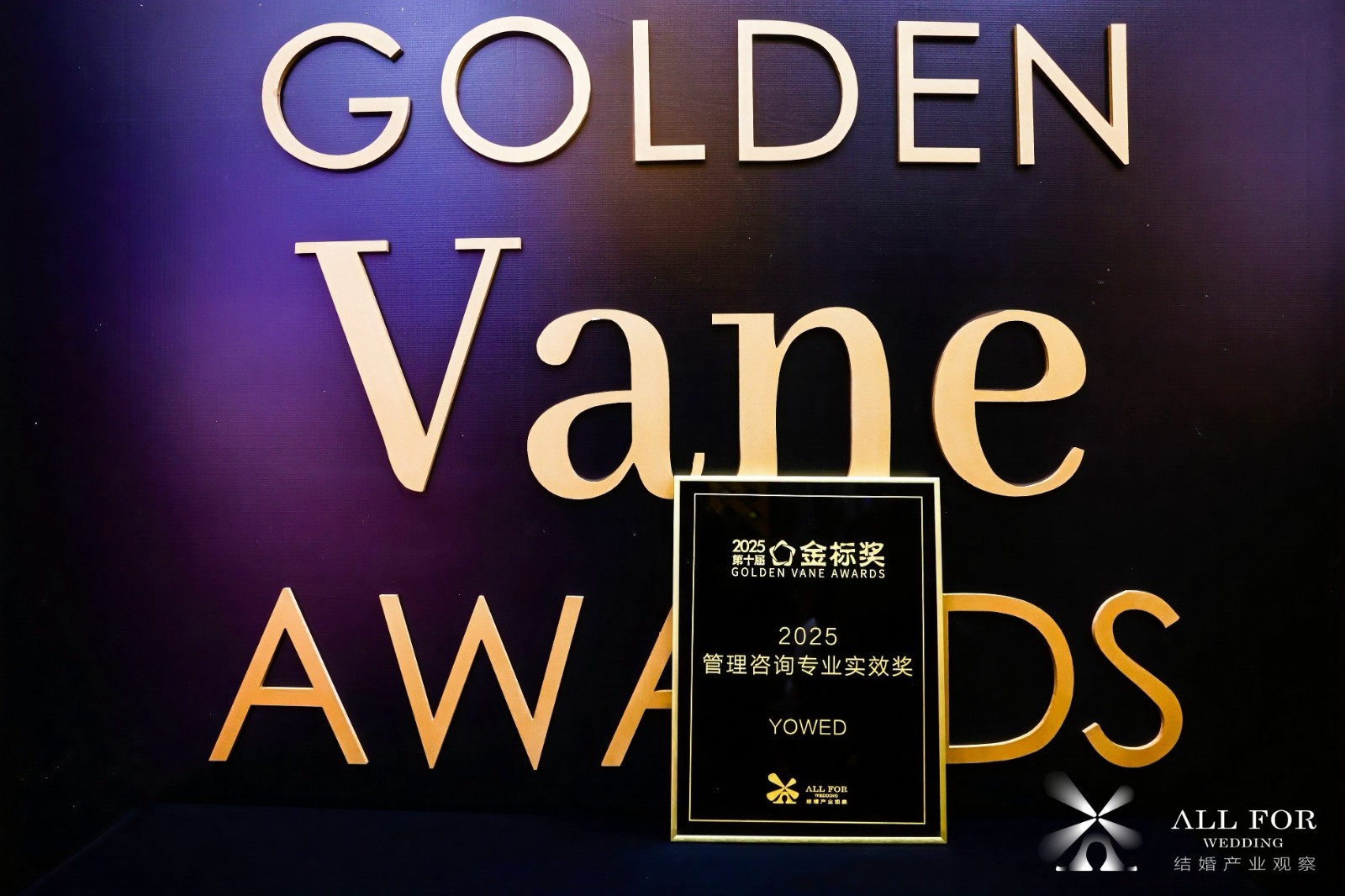 YOWED，荣获“2025管理咨询专业实效奖”